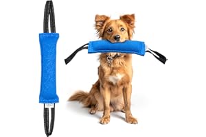 YES4QUALITY Zabawka dla psa do gryzienia (30 x 8,5 cm, niebieska), trwała zabawka do ciągnięcia z 2 mocnymi uchwytami, wytrzymała nylonowa poduszka do gryzienia, dla średnich i dużych psów, idealna do