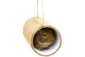 Premium Chewchewbs Totally Degu 2 pack