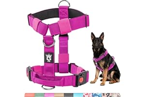 TSPRO Pettorina Cane Taglia Media-Grande, No Pull, Imbracatura per Cani Resistente con Fibbie a Sganci Rapidi e Maniglia, Regolabile e Comoda per Passeggiate (Viola, L)