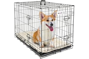 MaxxPet Metal Cages de Chiens, Caisse de Transport pour Chien, Grande Cage Chien avec 2 Portes, Cage Chien Interieur, Dog Crate Voiture, Cage Pliable Chien, 91x57x64cm, Noir