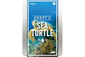 Gift Republic Ltd GR100023 - Detalle Decorativo para estanques