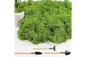 Annyswit 150g Musgo Artificial para Creaciones y Decoraciones, Musgo Falso con Herramientas de Jardinería, Decoración de Musgo, Musgo Islandés, Manualidades, Modelismo para Acuarios y Pesebres