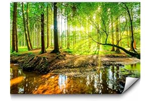 murando - Fototapete Selbstklebend Wald 343x256 cm - Foto Tapete Tapetenfolie Möbelfolie Wandverkleidung Wandtapete Motivtapeten Wohnzimmer Schlafzimmer 3d Effekt Modern - Sonne c-B-0241-a-a