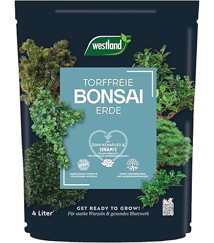 Bol Bonsaï Avec Soucoupe Taille 3 - Bleu - Carré - Modèle