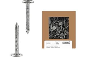 HELPMATE – Chiodi per tetto 2,8 x 30 mm zincato meccanicamente – 400 g di carta per tetto tipo B – chiodi per tetto DIN 1160 B – chiodi per tetto ideale per cartoncino, teloni di plastica e lastre di