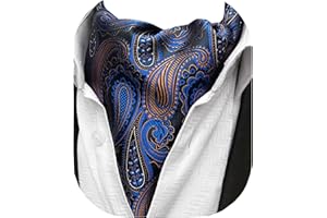 Beaface Men's Cravats Self Tie, Cravat Ties for Men Paisley Floral Jacquard Woven Ascot Tie Wedding Business Party Casual