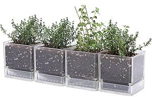 D'vine Dev 4 Inch Herb Planter Pot, Plastic Planter with Drainage Holes and Saucer, Modern Decorative Gardening Pot for Indoor Plants, Flowers, Herbs, Succulents, Clear, Set of 4, 76-Y-D-4