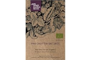 MAGIC GARDEN SEEDS Repollo chino/Pak Choi/Bok Choy 'Tai Sai' (Brassica rapa, subsp. chinensis) orgánico - aprox. 150 semillas