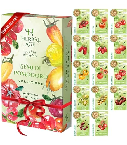 Piantina Di Pomodoro Camone Innestato - In Vaso 14cm, Pronta Per Trapianto, Made In Italy - Foto 7