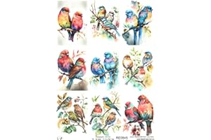 Josys Bastelmärchen Rice Paper A4 Straw Silk Decoupage Colourful Birds on Branch Tree Bird RE0845