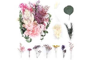 Tomoyuki Flores Secas Naturales Prensadas, Flores Prensadas Mixtas, Flores Reales Secas Mezcladas, Varias Flor Prensada Hojas para Decoración Manualidades, Resina, Álbumes Recortes