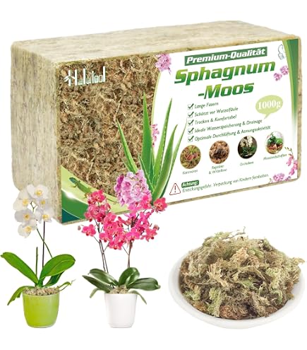 ZeeDix 170g Sphagnum Moos – Getrocknetes Terrarienmoos, Für Orchideen, Reptilien, Schlangen & Amphibien, Sauber & Naturbelassen