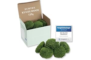 ‎MIA MILANO Kugelmoos naturgrün konserviert | 125g Echtes Bollenmoos für Moosbilder | Haltbares Moos zum Basteln | Wetterfestes naturgrünes Islandmoos