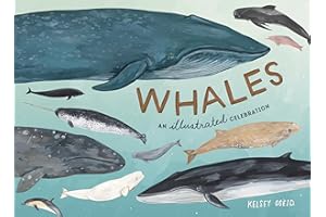 Whales: An Illustrated Celebration