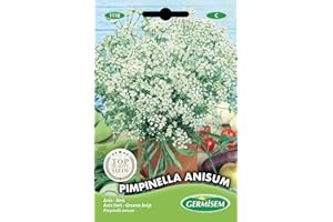 Germisem graines Anis Vert PIMPINELLA ANISUM