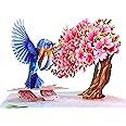 CUTPOPUP Cherry with Robin Bird- 3D Valentines Card, Valentines Card for Husband, Anniversary Card, Birthday Cards for Women, Greeting Romantic Love Card (Robin Cherry) US8-AN175UK