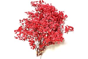 QZKJQDD Trockenblumen, Schleierkraut Getrocknet, Trockenblumen Zum Basteln, Getrocknete Blumen, Trockenblumen Deko, Geeignet für Geschenkbox, Scrapbooks, Duftkerzen Handgefertigt (Rot—5 Stöcke)