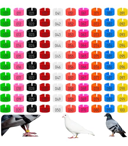 Produktbild von 100 Farbenfrohe Fußringe 8 Mm Aus Kunststoff – Beinmarkierungen Für Tauben, Hühner, Küken & Lovebirds