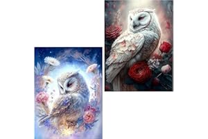 PUJEKNM 2 Stück Diamond Painting Erwachsene-Eule 5D Diamant Painting Bilder Erwachsene,Tiere Diamond Painting Set DIY Personalisiert Basteln Bilder Dekorationen für Home Wand Décor(2er set,30x40cm)
