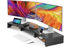 AMERIERGO Dual Monitor Stand Riser for 2 Monitors, Monitor Stand for Desk, Adjustable Computer Monitor Stand with 2 Slot, Multifunctional Desktop Organizer Stand for PC, Computer, Printer