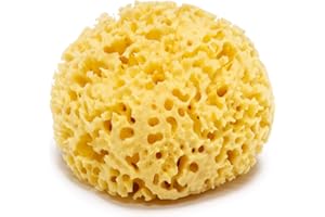 LONGIVIA Kalyspongea® Esponja Marina Natural por Bebe y Adulto Grass Grande 12-13 cm Esponja Jabonosa Baby Baño 100% Vegetal para Ducha o Baño Cuerpo Embalaje de Regalo