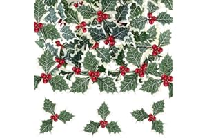 SUNSK Frutta Artificiale Piccoli Frutti di Bosco Bacche di Agrifoglio con Foglie Verdi la Decorazione della Festa di Natale L'Albero di Natale Festival Decorazioni 20 Pezzi