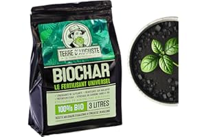 TERRE D'AUGUSTE LA TERRE DU PATRIARCHE DEPUIS 1920 Terre d'Auguste – Biochar 3L, le Fertilisant Plante Intérieur Idéal pour Votre Jardin Urbain