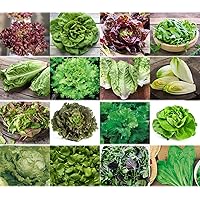 verschiedene Salate Saat 16 x 100 Saatgut Salat Mix 100% Natursamen handverlesen aus Portugal, seltene und alte Sorten…
