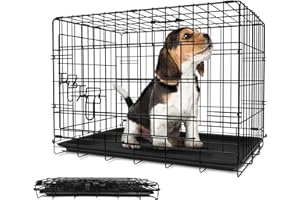 Leopet® Cage Transport Chien - Pliable, 2 Portes, Métal, Plateau Amovible, Portable, Nettoyage Facile - Boîte à Chiens, Clôture pour Animaux Compagnie (LxLxH: 121x74x81 cm)