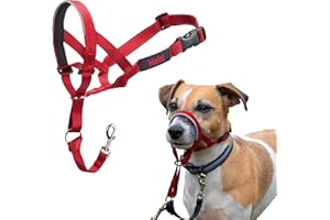 COMPANY OF ANIMALS Collar Ronzal HALTI - Para evitar que tu perro tire de la correa, Ajustable y Ligero, con banda de nariz acolchada. Adiestramiento canino antitirones collar para perros pequeños (Talla 1, Rojo)