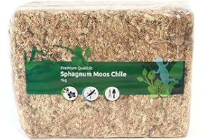SPHAGNUM-SHOP.COM Sphagnum Mech do terrarium i storczyków z Chile 1 x 1000 g