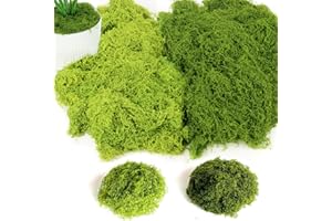 BITOYO 200g Mousse Artificielle, Fausse Mousse Végétale Decorative, 100g Vert Foncé et 100g Vert Clair Mousse Stabilisée pour Artisanat Modelage Mur Terrarium Décoration D'intérieur Noël Pâques Mariage