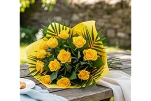 DAILY FLOWERS Yellow Rose Bouquet - Fresh Cut Yellow Roses Wrapped in Vibrant Foliage for Birthday, Anniversary, Celebration, Sympathy, Get Well, Housewarming, Floral Gift Indoor Arrangement