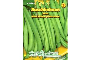 Buschbohnen, Saxa früh, grün, ohne Fäden N.L.Chrestensen Samen 471820-B