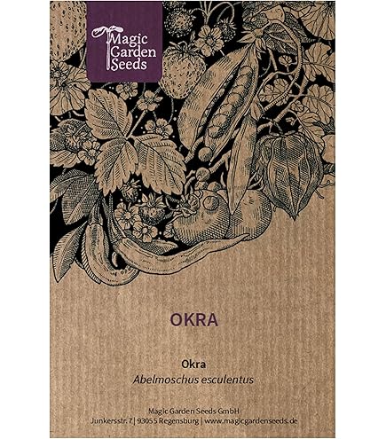Germisem Clemson Spineless Okra Seeds 6g - Foto 3