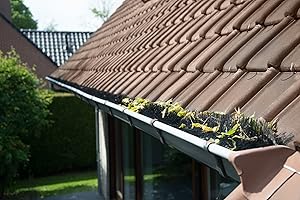 HOCHEPIED BVBA 10 Meter Dachrinnenbürste 100 cm - Ø12 cm, Dachrinnenbürsten, Laubschutz, Marderschutz, Rinnenraupe, Dachrinnenschutz, Schutz vor Marder und anderen Ungeziefer