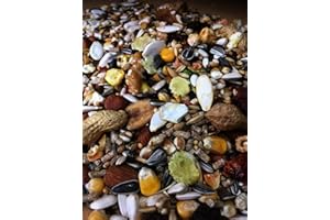 cura-canin 5 kg Premium Eichhörnchen Super - Food Eichhörnchenfutter der Spitzenklasse Streufutter Futterhaus