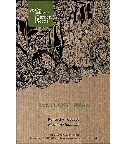 Virginia Tabak Samen 3000 Stück - Nicotiana Tabacum Für Eigenanbau