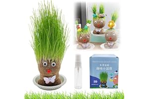 BAISHUWU Graskopf Puppenpflanze, Graskopf Wachsende, Wachsende Graskopf Puppenpflanze, Graskopf Haarwuchs Spielzeug Mit Tablett, Mini Bonsai Gras Kopf Figure Puppen, Kinder Handwerk DIY Lustiges Geschenke