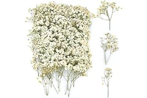 JWOGNGLS 100 sztuk suszonych kwiatów, prawdziwe, naturalne, białe, gipsówka suszona, do samodzielnego wykonania, świec, egzemplarzy botanicznych, ramki na zdjęcia, do