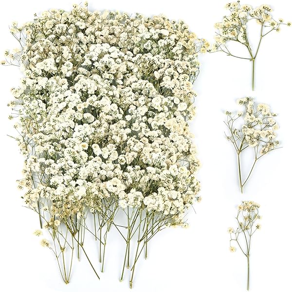 Plantes Artificielles En Feuilles D'eucalyptus - Plantes Artificielles