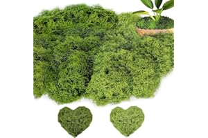 HhBdy Mousse Artificielle pour décorer 200g Fausse Mousse Végétale Mousse Décorative Mousse Stabilisée aux Compositions Florales Plantes artificielles pour Noël et la décoration Murale dans la Maison