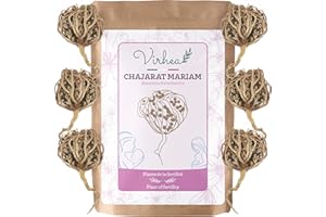 VIRHEA Rose de Jericho Chajarat Mariam x6 - Rozmiar S (mały) - Roślina promująca płodność [Satysfakcja lub usztywniona]