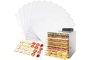 KQDRAVINE 10 Pezzi Fogli Disidratatori per Essiccatore Alimentare, 20×30 cm Tappetino Essiccatore in Silicone, Antiaderenti & Riutilizzabili Fogli per Disidratatore, Facili da Pulire