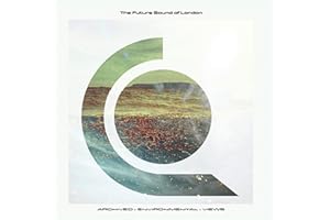 Archived Environmental Views