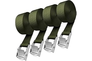 AULESE 4 pasy mocujące, 2,5 m, z zamkiem zaciskowym, pasy mocujące, obciążenie do 250 kg, regulowane paski mocujące, do roweru, motocykla, bagażu, na kemping (zielone)