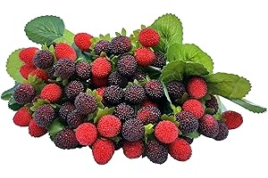 M2cbridge 4PCS Artificial Raspberry Red Berry Strawberry Faux Fruit BlackBerry Props Table Decoration (Red with Black)
