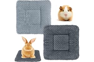 Hileyu Kleintierplüschbett 2 Stück warme Flauschige Welpendecke Fleece Kaninchen Meerschweinchenkissen Bett Schlafmatte für Welpe Hund Kätzchen Hase Chinchilla, Eichhörnchen Hamster 30 * 30cm