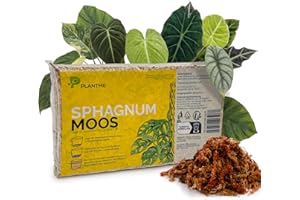 PlantMe Sphagnum Moos aus Chile, gepresst 200 g (ergibt ca. 10 L) – langfaseriges Moos für Zimmerpflanzen, Moosstäbe, Monstera, Philodendron, Alocasia, Orchideen & Karnivoren