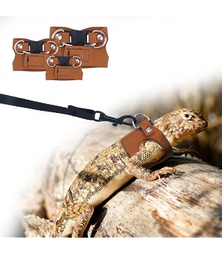 Bolsa Transporte Répteis Balacoo - Ajustável Para Dragão Barbudo | Sling Para Pequenos Animais